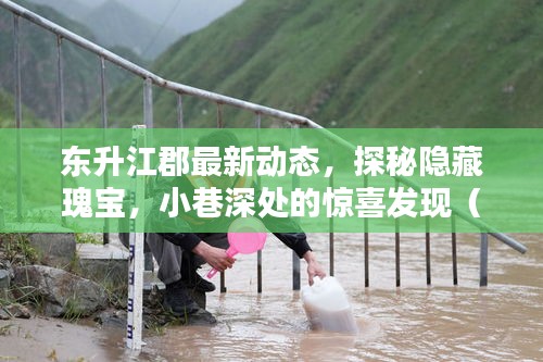 东升江郡最新动态，探秘隐藏瑰宝，小巷深处的惊喜发现（2024年11月13日）