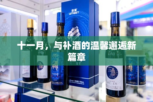 十一月，与补酒的温馨邂逅新篇章