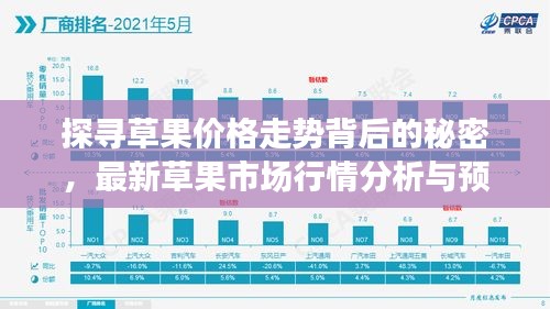 探寻草果价格走势背后的秘密，最新草果市场行情分析与预测（2024年11月）