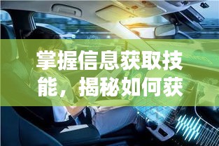 第3919页