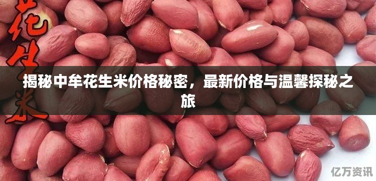 第3933页