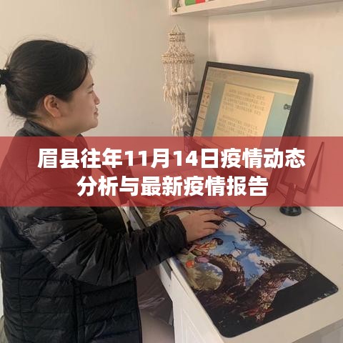 眉县往年11月14日疫情动态分析与最新疫情报告