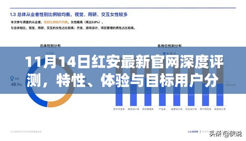 11月14日红安最新官网深度评测，特性、体验与目标用户分析