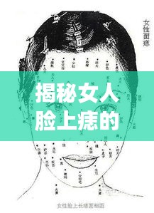 揭秘女人脸上痣的秘密，背景、事件与影响——最新女人脸上的痣图解（2024年11月版）