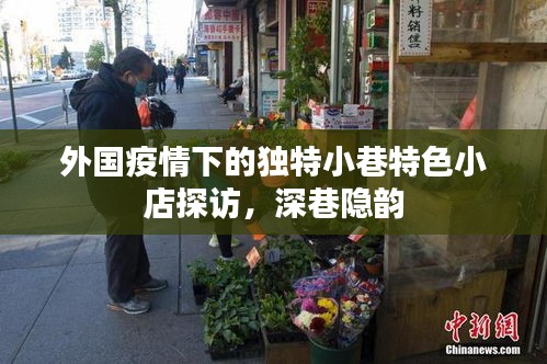 新闻动态 第700页