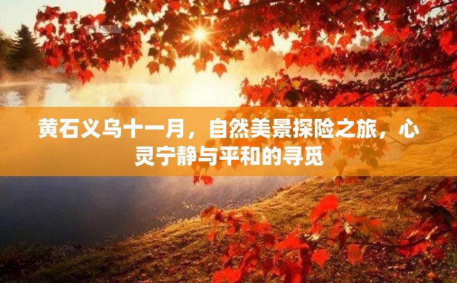联系我们 第530页