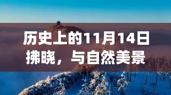 风华绝代 第5页