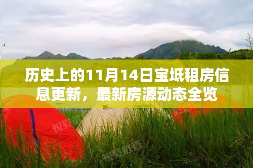 历史上的11月14日宝坻租房信息更新，最新房源动态全览