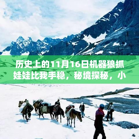 机器狼与我的抓娃娃奇缘，秘境探秘与抓娃娃大比拼的难忘经历（11月16日）