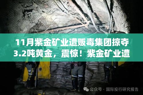 政策优势 第542页