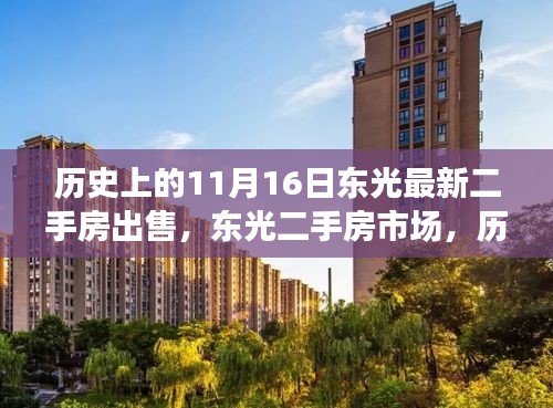 历史上的11月16日，东光二手房市场最新动态与回顾影响