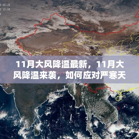 如何应对严寒天气，应对11月大风降温的最新指南