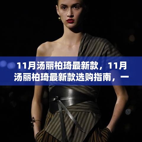 11月汤丽柏琦最新款选购指南，轻松选购心仪产品的步骤