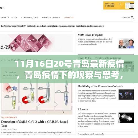 青岛疫情最新动态观察与反思，聚焦11月16日疫情下的城市观察
