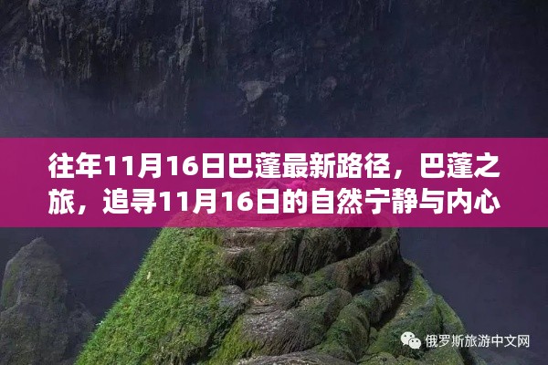 管理优势 第530页