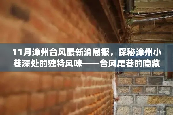 走马观花 第6页