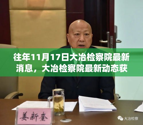 大冶检察院最新动态揭秘，往年11月17日消息获取指南及查询方法解析