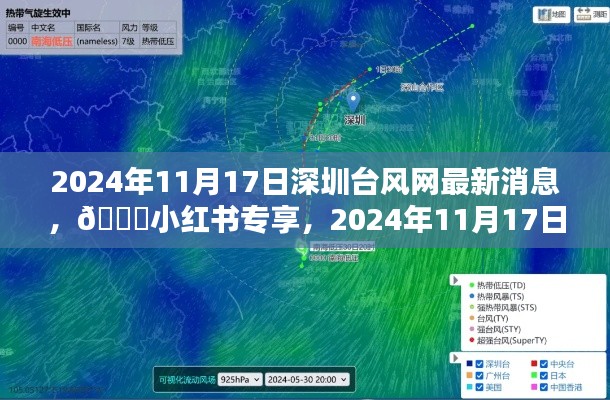 🌟台风最新消息，小红书专享深圳台风网更新报告🌀