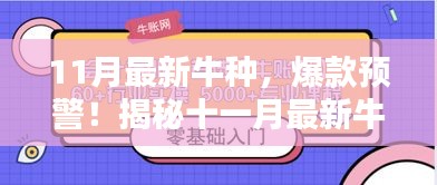 揭秘十一月最新牛种，时尚潮流新宠爆款预警！