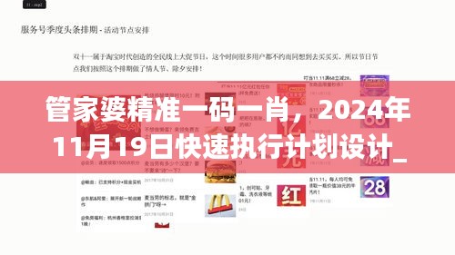 管家婆精准一码一肖，2024年11月19日快速执行计划设计_RTM6.56.39旅行助手版