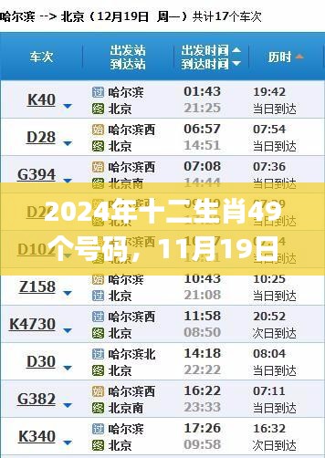 2024年十二生肖49个号码，11月19日高效计划设计与实施_FOI7.12.88活版