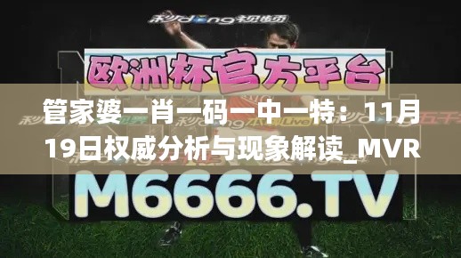 管家婆一肖一码一中一特：11月19日权威分析与现象解读_MVR4.47.59先锋实践版