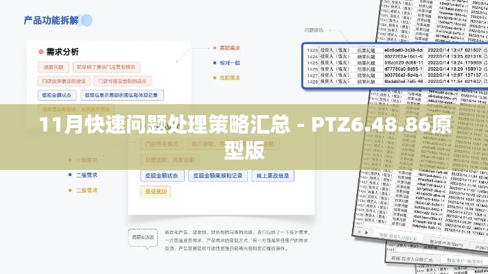 11月快速问题处理策略汇总 - PTZ6.48.86原型版