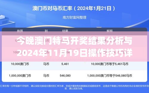 今晚澳门特马开奖结果分析与2024年11月19日操作技巧详解_NCD6.67.33升级版