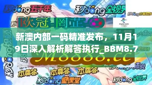 新澳内部一码精准发布，11月19日深入解析解答执行_BBM8.75.81无线版