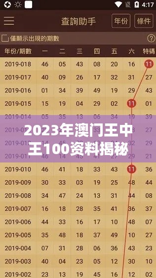2023年澳门王中王100资料揭秘，AMY6.52.97高端体验版详解与鉴别