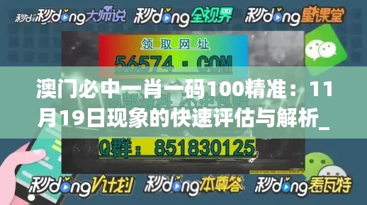 澳门必中一肖一码100精准：11月19日现象的快速评估与解析_AIN6.21.74内容版