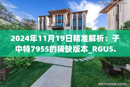 2024年11月19日精准解析：子中特7955的稀缺版本_RGU5.11.83