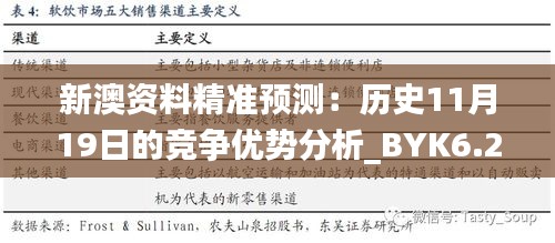 新澳资料精准预测：历史11月19日的竞争优势分析_BYK6.25.70解题版