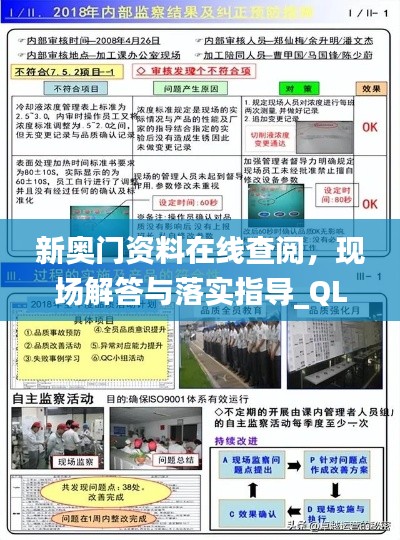 新奥门资料在线查阅，现场解答与落实指导_QLM9.13.75白银版