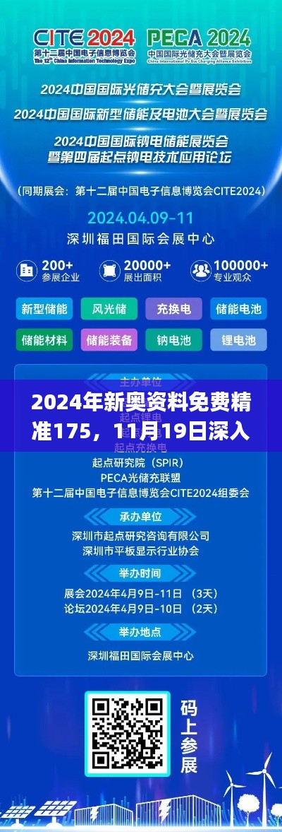2024年新奥资料免费精准175，11月19日深入解析与解决方案_FDR5.56.29精致生活版