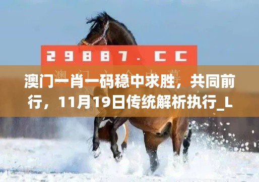 澳门一肖一码稳中求胜，共同前行，11月19日传统解析执行_LEO3.43.92新版本