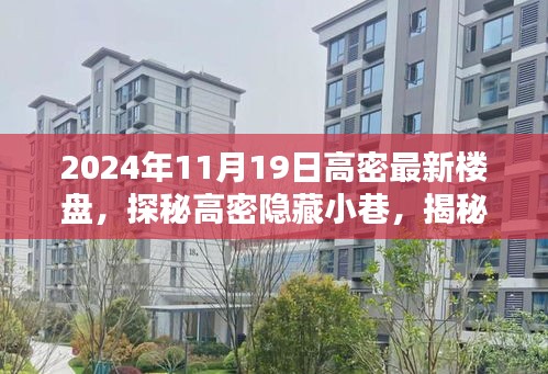 纲举目张 第6页