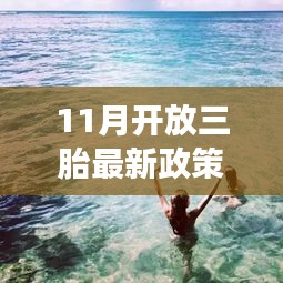 百鸟朝凤 第6页