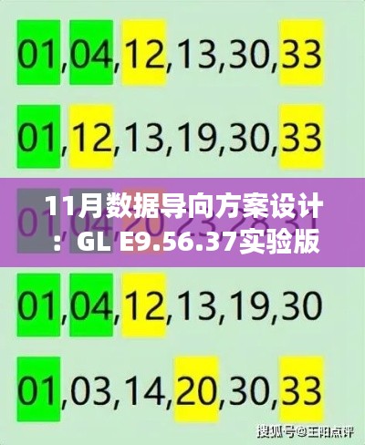 11月数据导向方案设计：GL E9.56.37实验版，确保一肖一码100%中奖