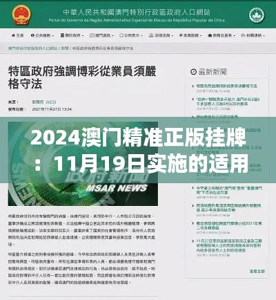 2024澳门精准正版挂牌：11月19日实施的适用性计划 - IPD9.12.30星耀版