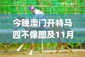 今晚澳门开特马四不像图及11月19日历史多元解析_NFZ5.46.94极速版