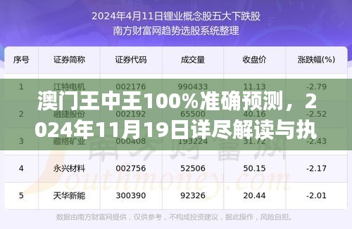 澳门王中王100%准确预测，2024年11月19日详尽解读与执行指南_NMF8.39.52活动版