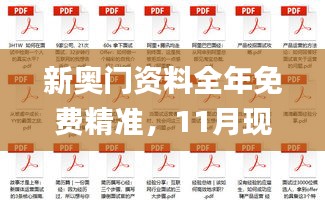新奥门资料全年免费精准，11月现场解答定义解析_DUQ9.39.42便携版