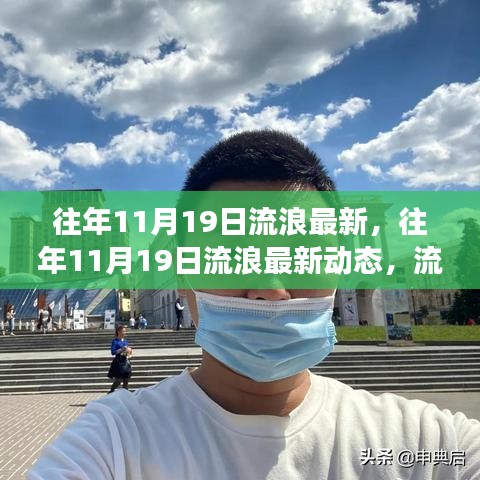 揭秘往年11月19日流浪者的最新动态与温暖故事，现状一览无余
