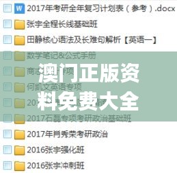 澳门正版资料免费大全新闻：2024年11月19日严谨计划现象解析_WIP2.30.30测试版