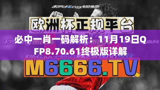 必中一肖一码解析：11月19日QFP8.70.61终极版详解