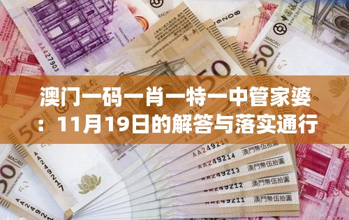 澳门一码一肖一特一中管家婆：11月19日的解答与落实通行证版OVW7.56.77