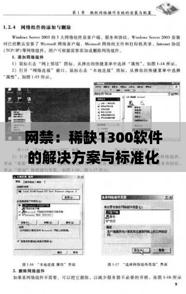 网禁：稀缺1300软件的解决方案与标准化目标实施_NMT4.13.88修订版