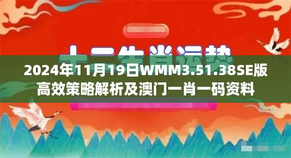 2024年11月19日WMM3.51.38SE版高效策略解析及澳门一肖一码资料