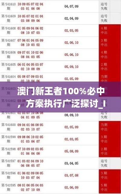 澳门新王者100%必中，方案执行广泛探讨_IEI2.50.63动画版